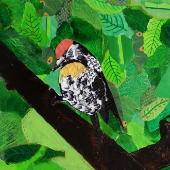 picture of a bird