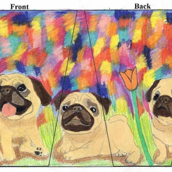 Painting of pugs