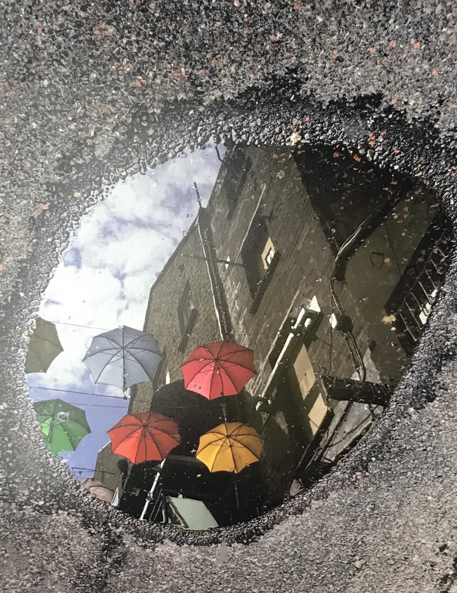 picture of reflection in a puddle