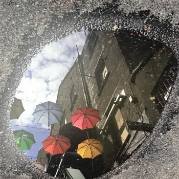 picture of reflection in a puddle