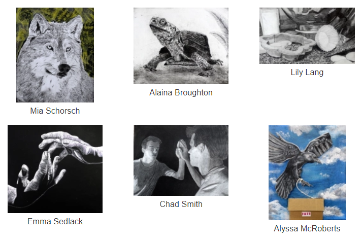 2020 Congressional Art Award Competitors