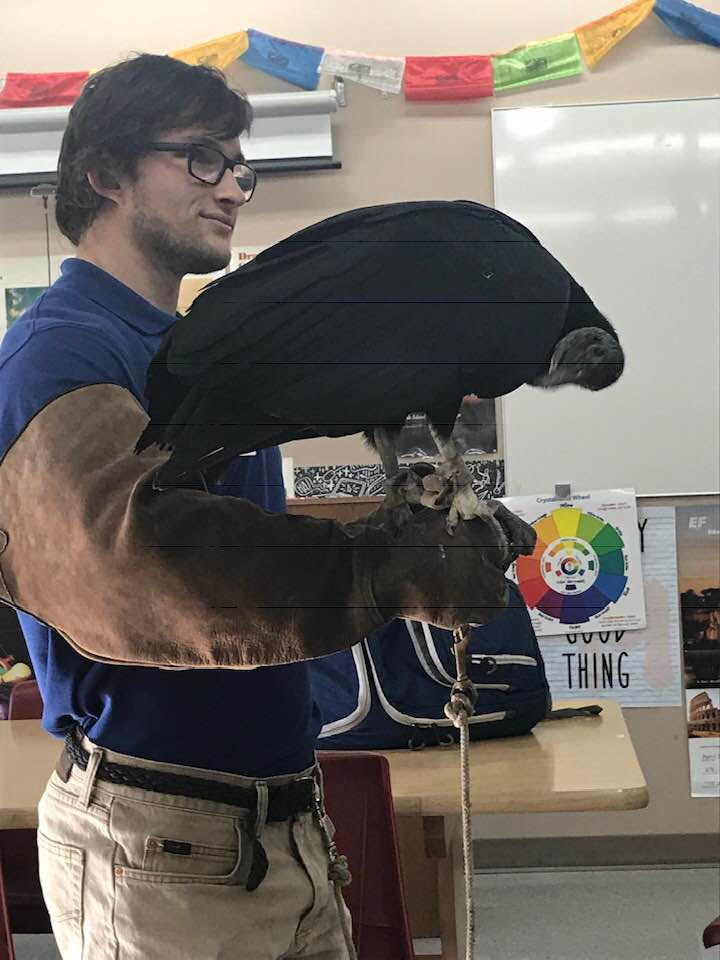 instructor with vulture