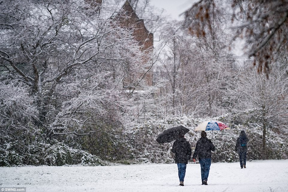 People battling heavy snow with umbrellas